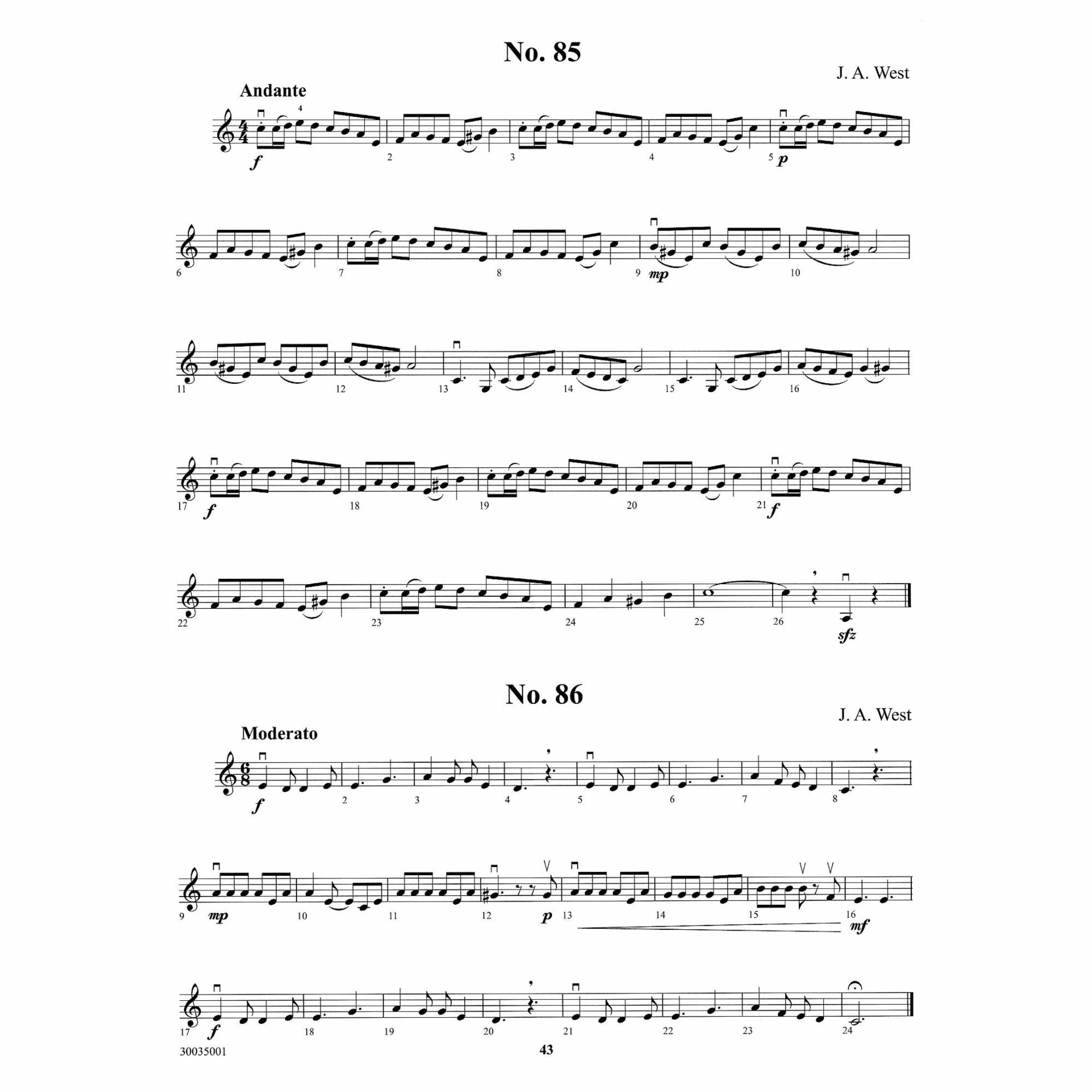Sample: Violin 1 (Pg. 43)