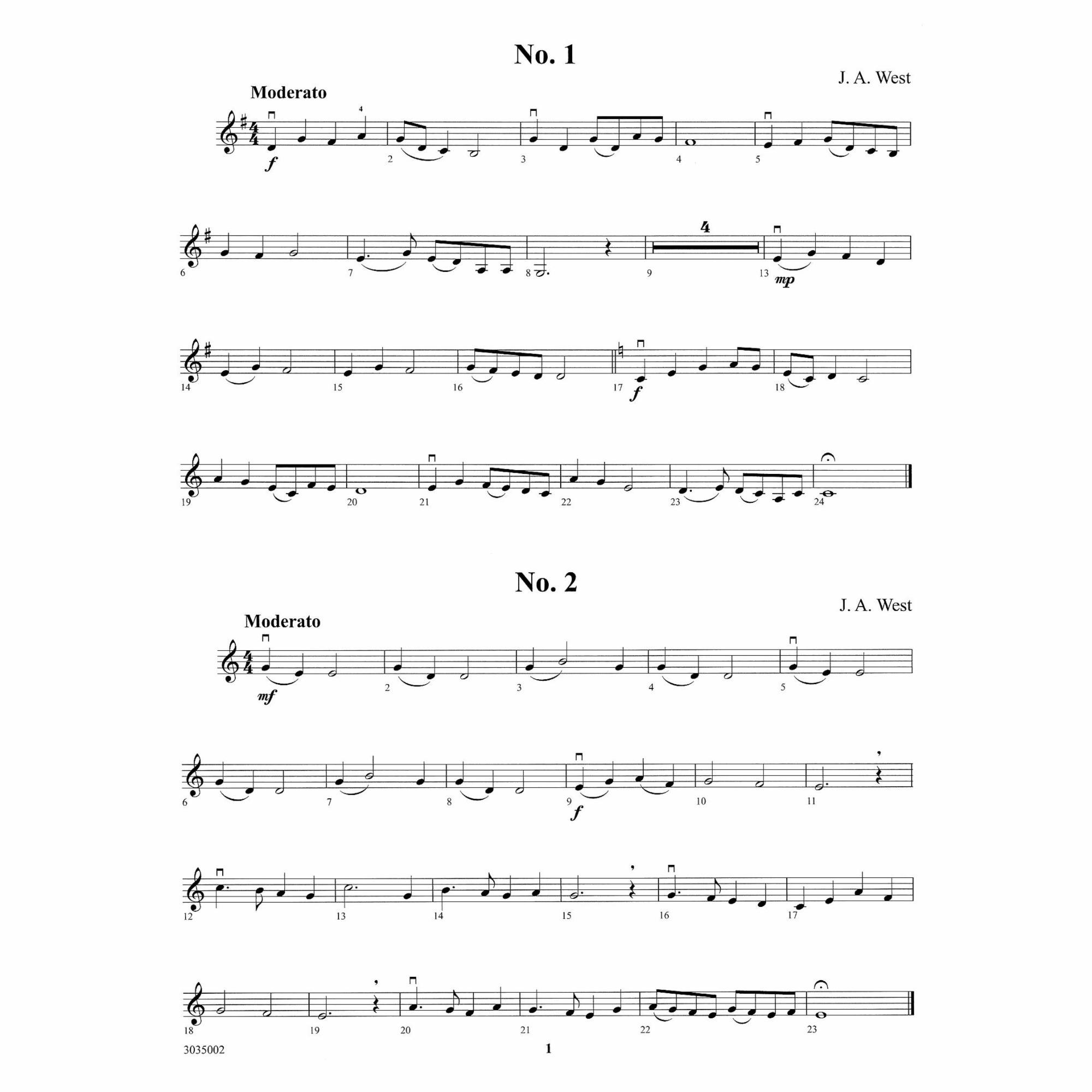 Sample: Violin 2 (Pg. 1)