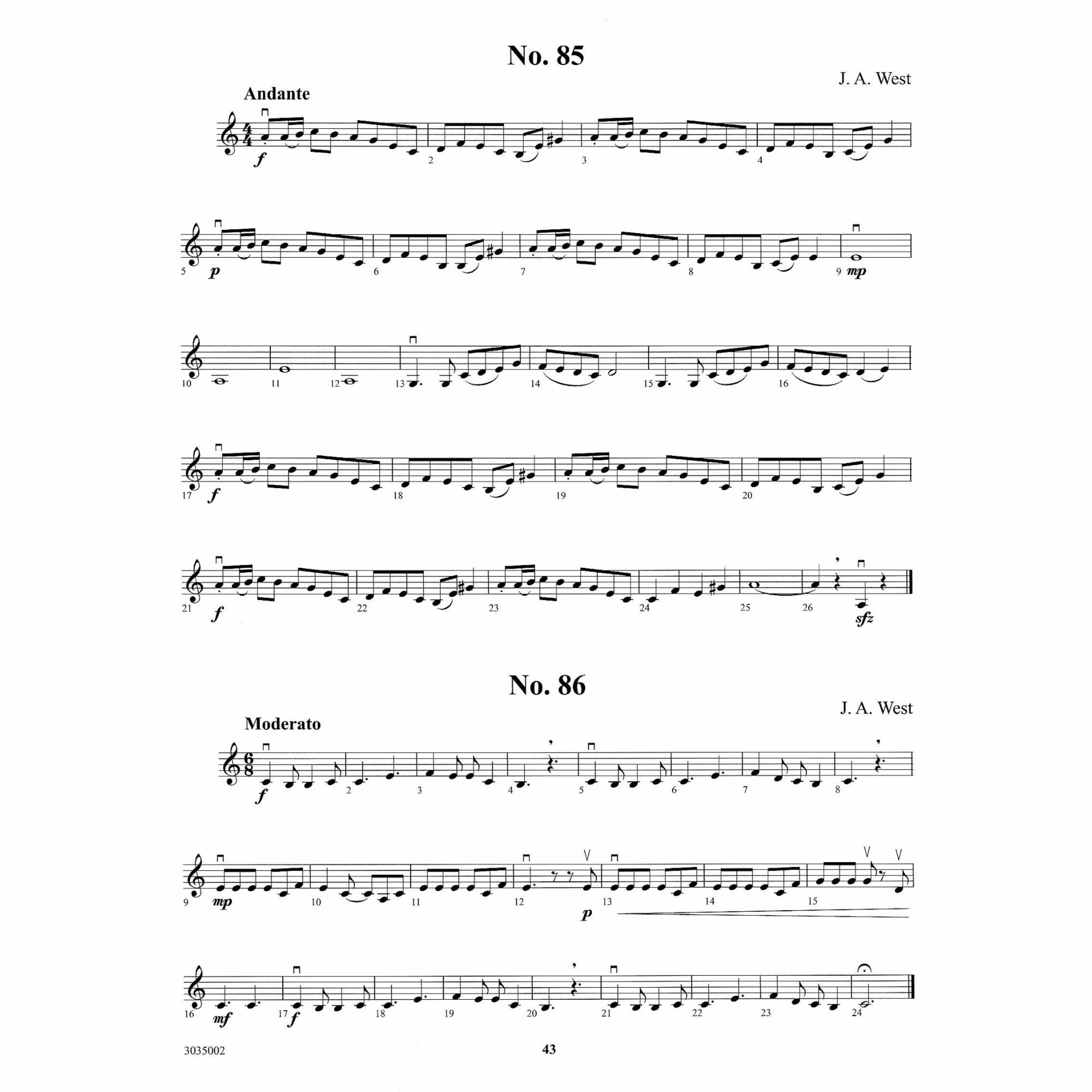 Sample: Violin 2 (Pg. 43)