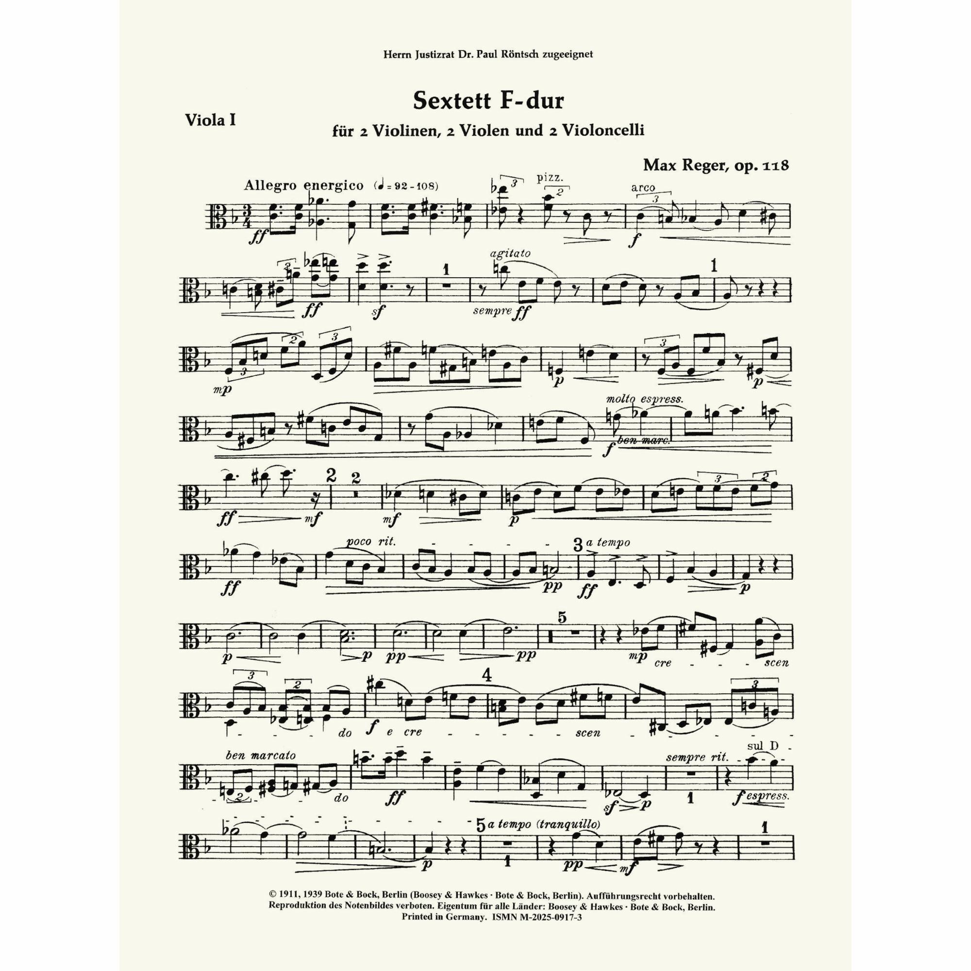 Sample: Viola I (Pg. 1)