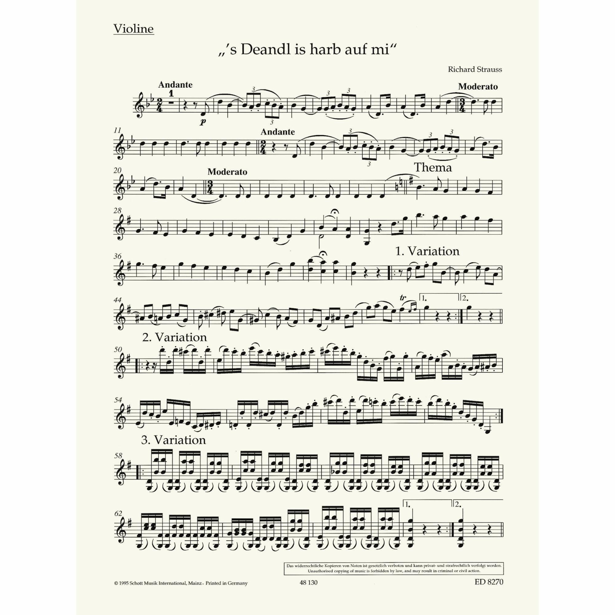 Sample: Violin (Pg. 1)