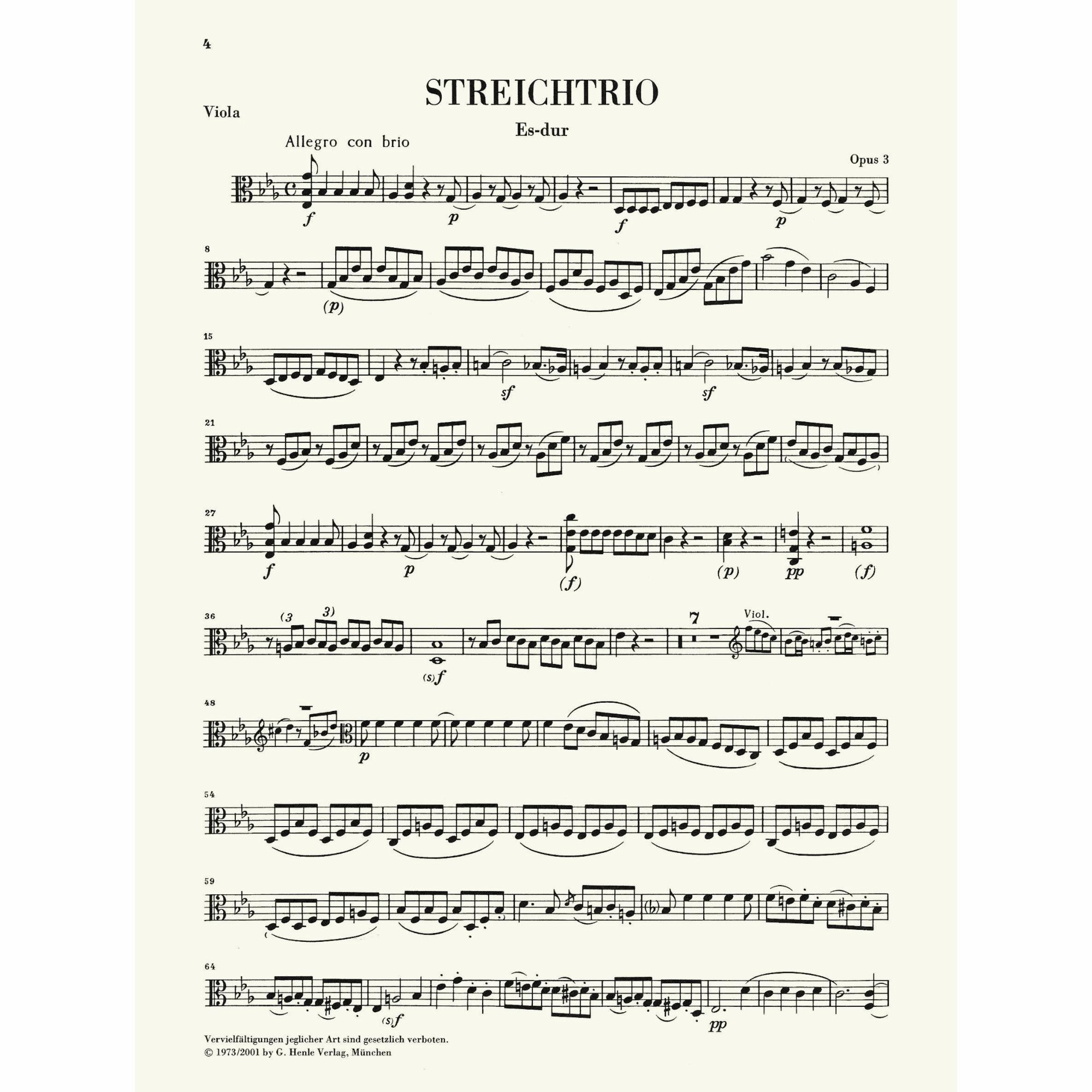 Sample: Viola (Pg. 4)