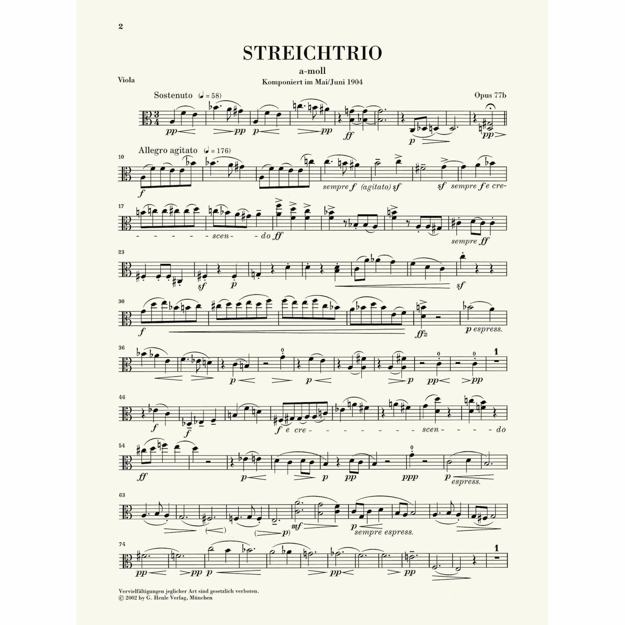 Sample: Viola (Pg. 2)