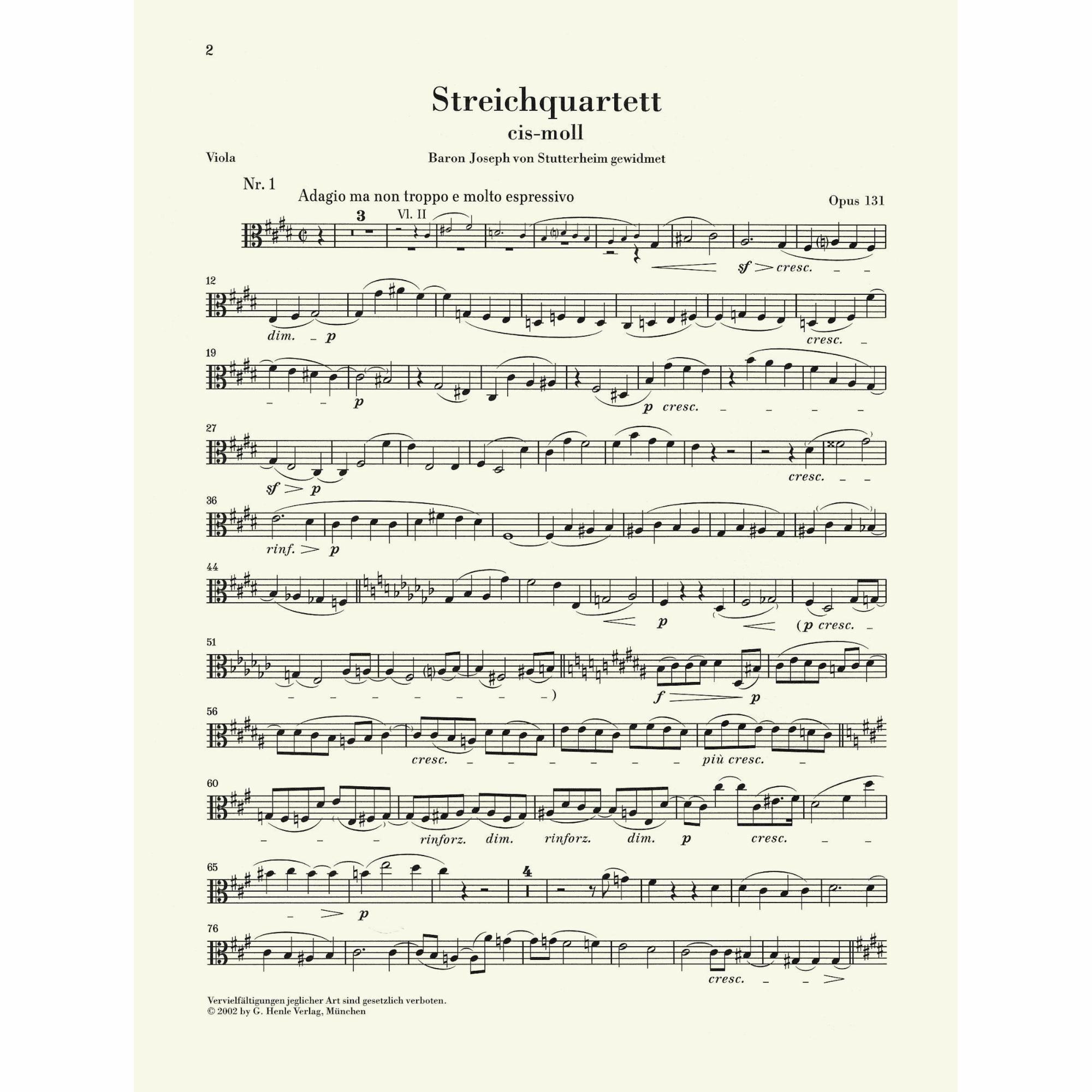 Sample: Viola (Pg. 2)