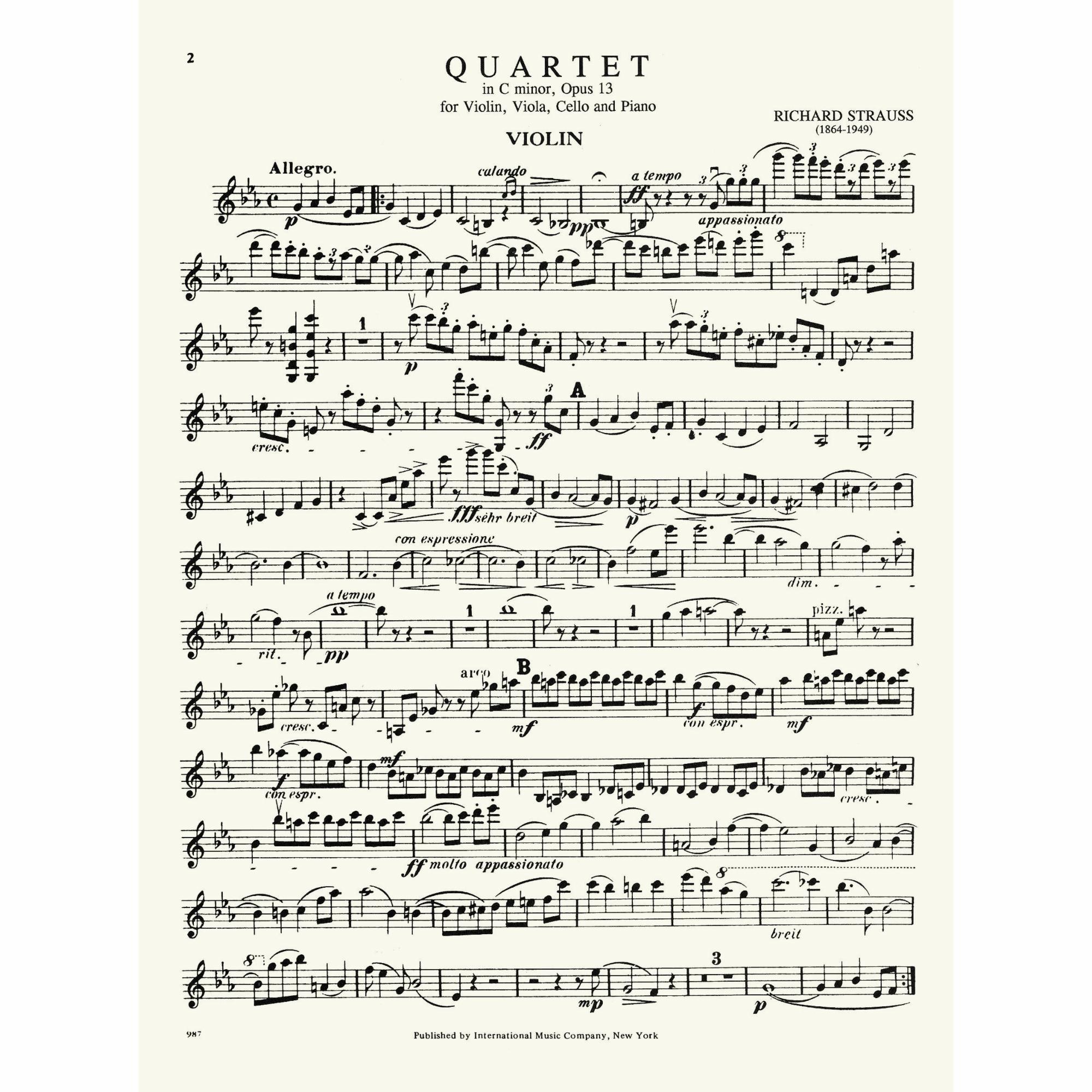 Sample: Violin (Pg. 2)