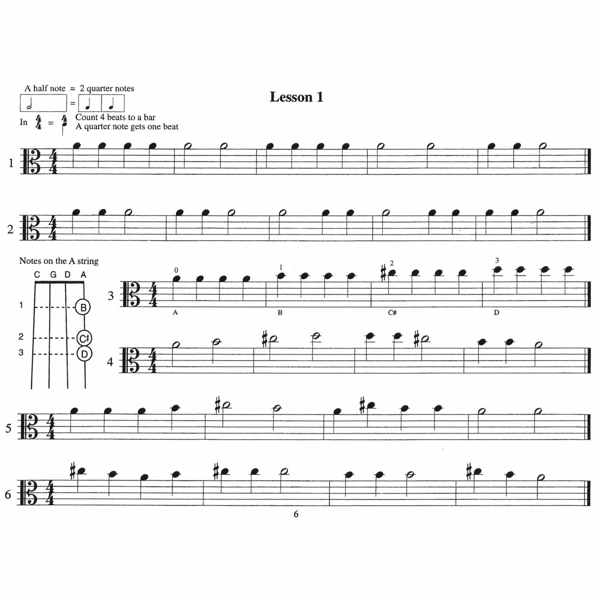 Sample: Viola (Pg. 6)