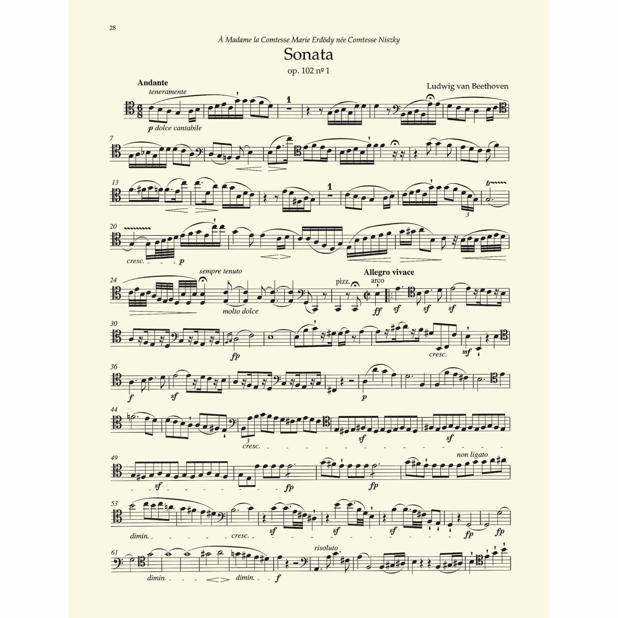 Sample: Cello (Pg. 28)