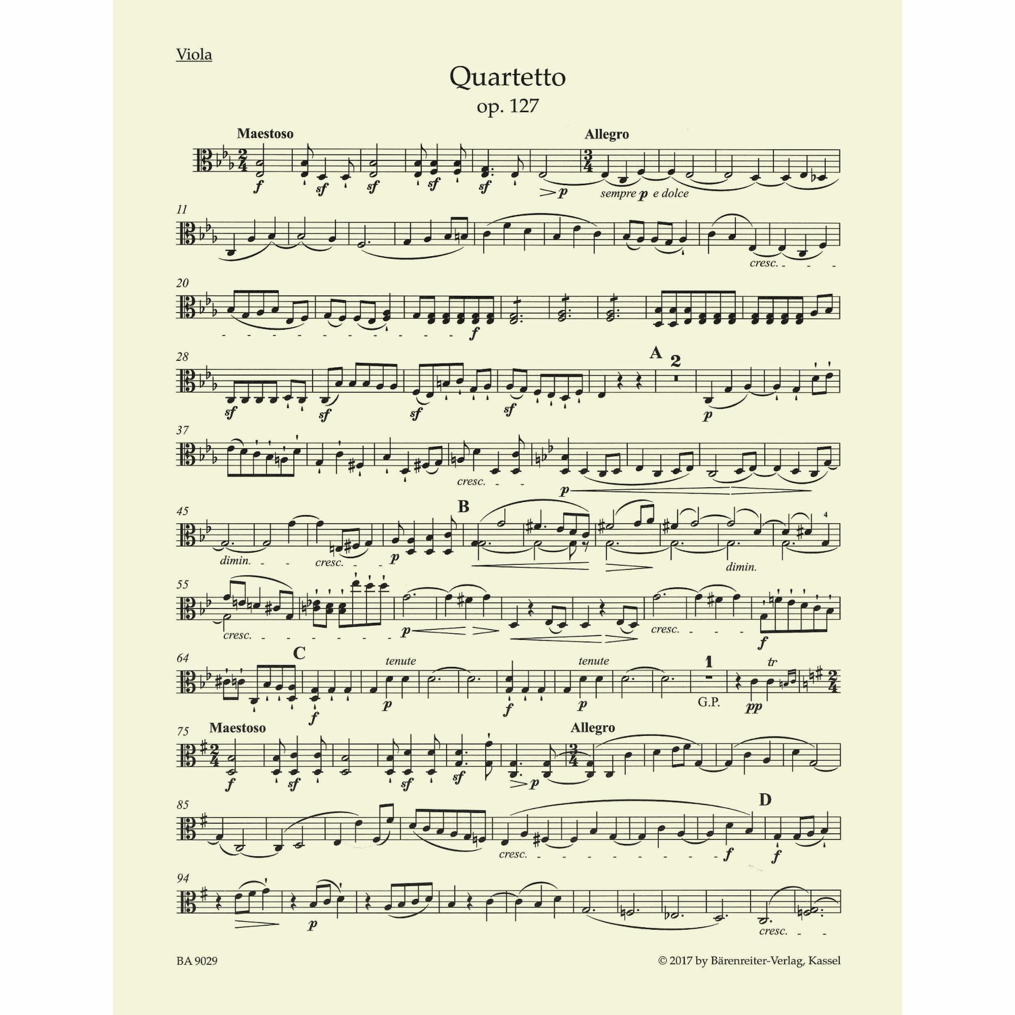 Sample: Viola (Pg. 2)