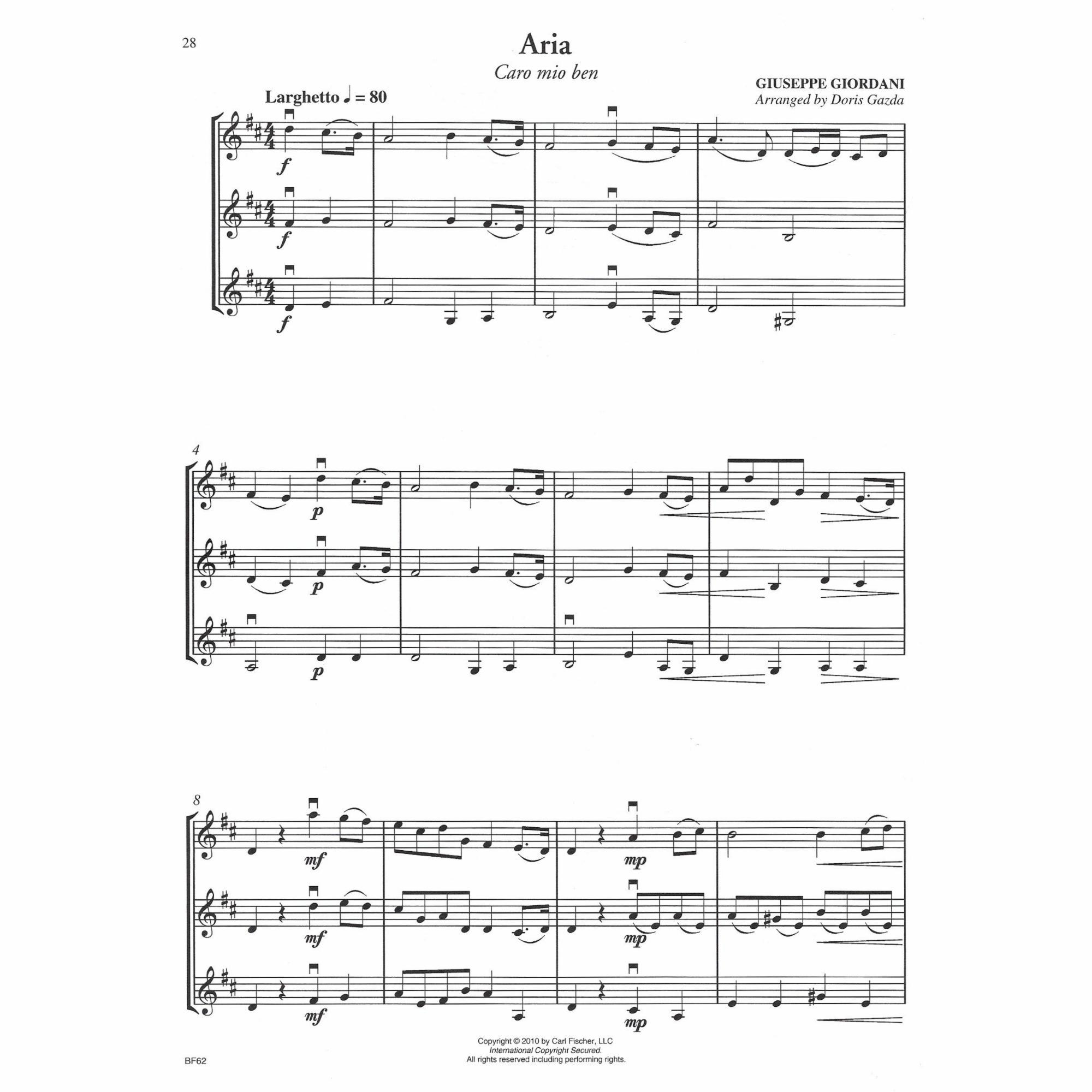 Sample: Violin (Pg. 28)