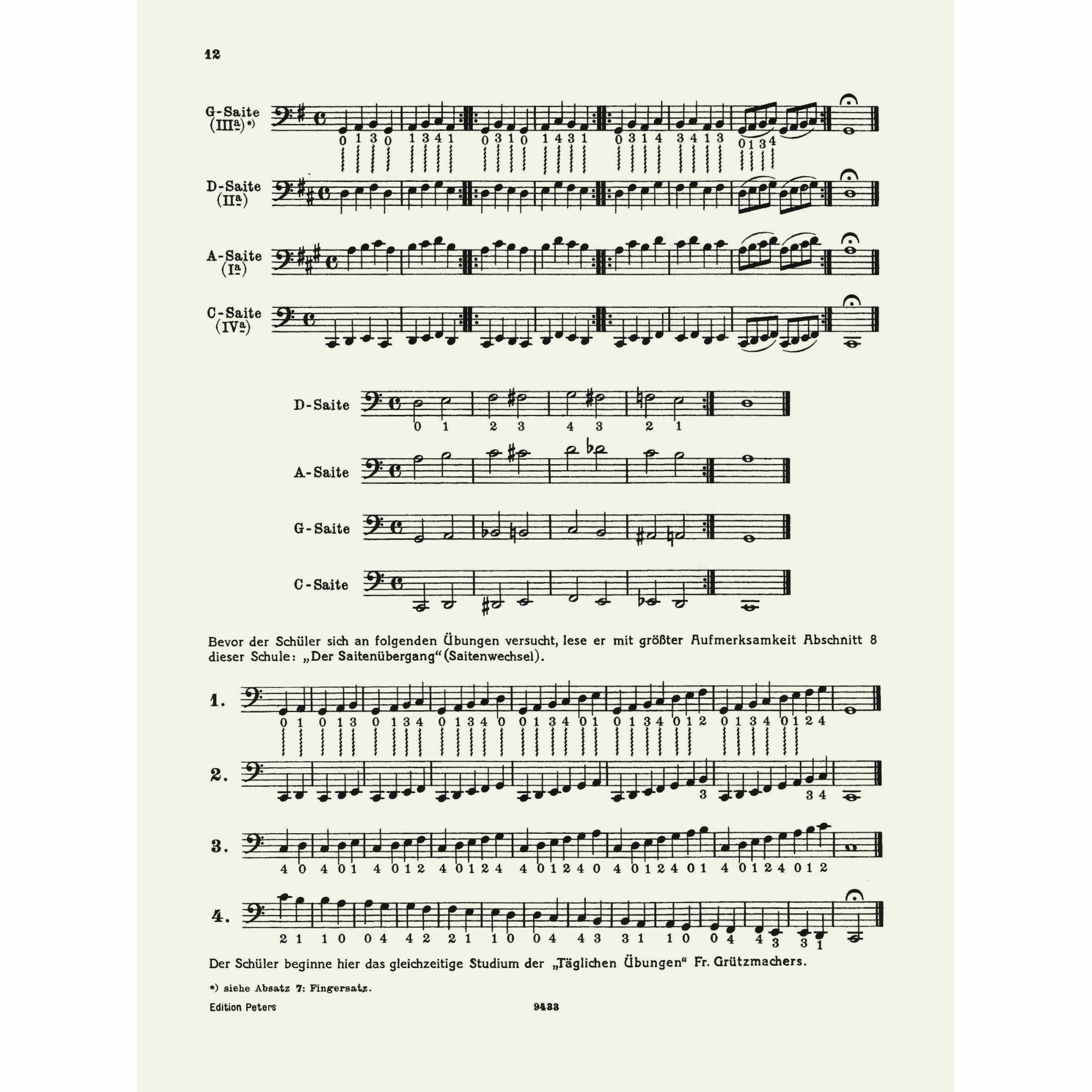 Sample: Page 12