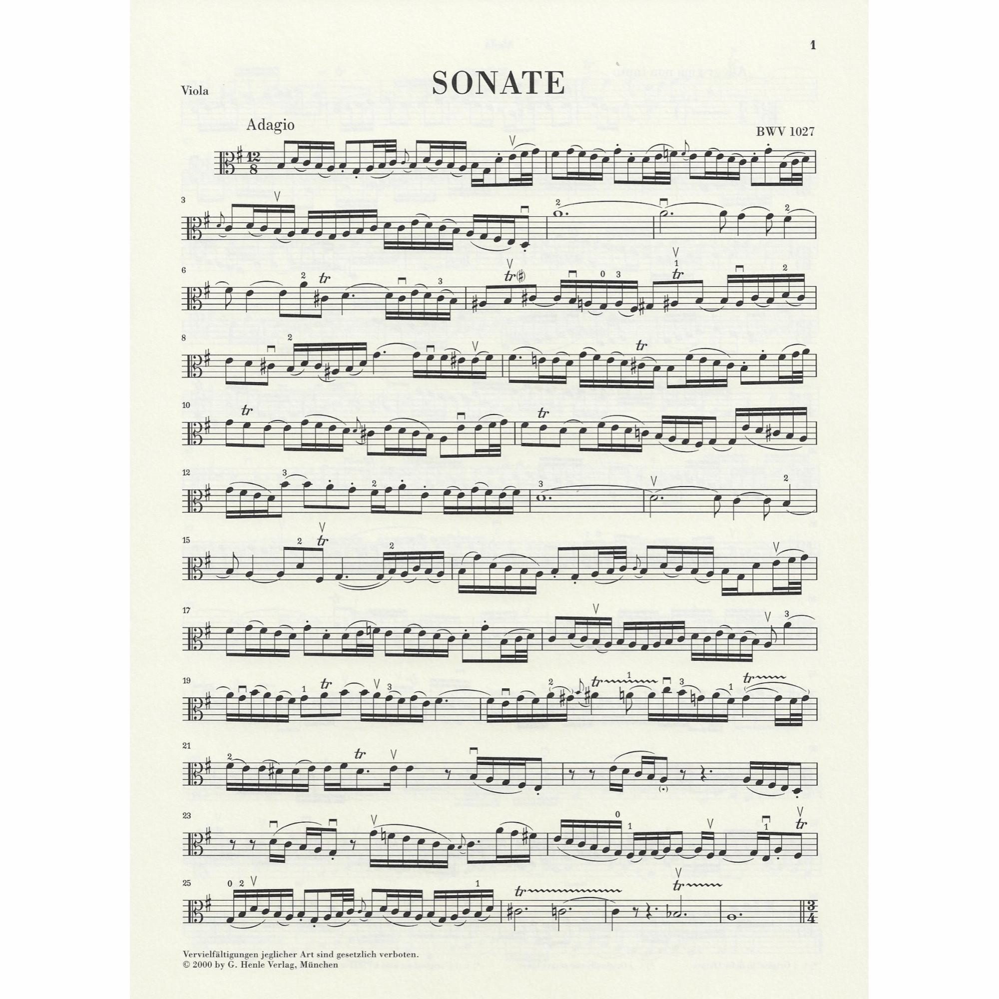 Sample: Marked Viola Part