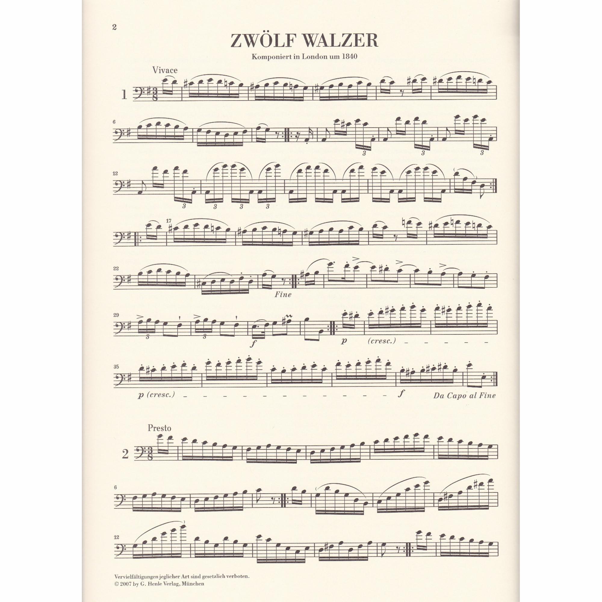 Twelve Waltzes for Solo Bass