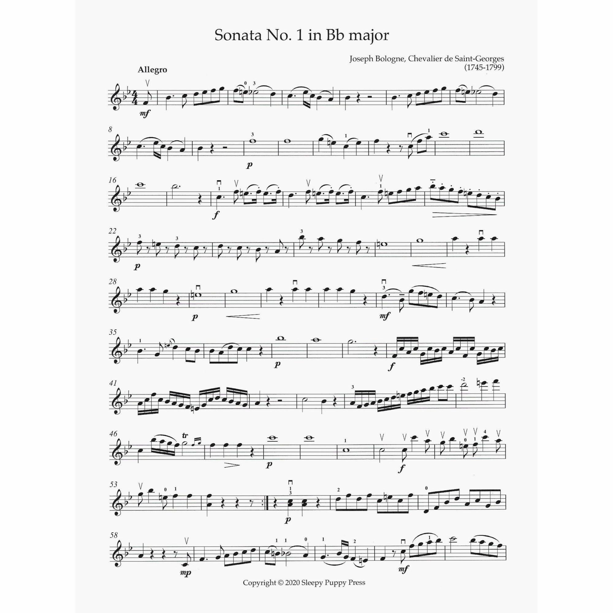 Sample: Violin (Pg. 2)